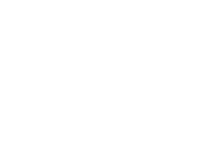 dc flag